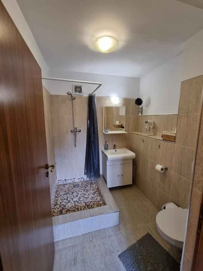 Ferienwohnung Casa Romana Ploieşti Exterior foto